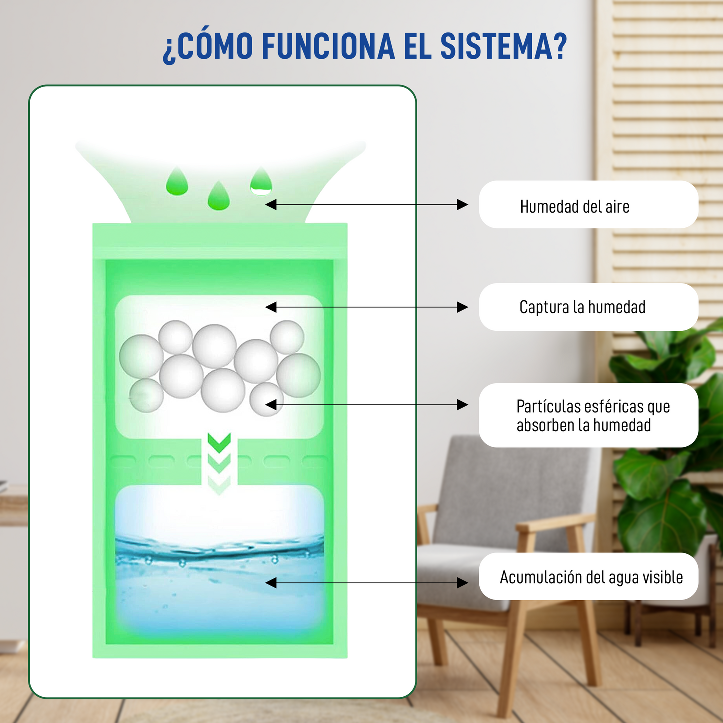 Pack Bolsas Antihumedad (1-3 Meses)